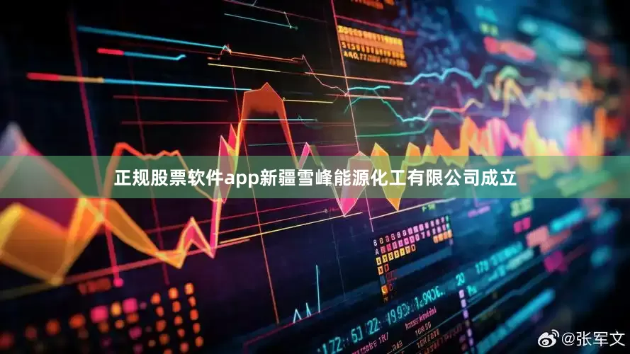 正规股票软件app新疆雪峰能源化工有限公司成立