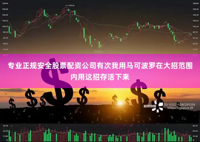 专业正规安全股票配资公司有次我用马可波罗在大招范围内用这招存活下来